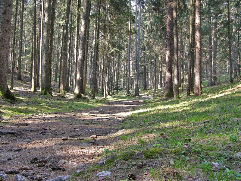 Ritrovamenti venerd� 20 aprile.